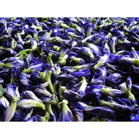 Butterfly Pea